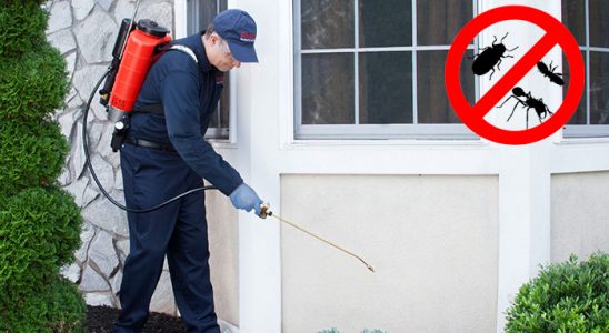 Çekerek Sivrisinek İlaçlama böcek ilaçlama ve haşere kontrolü — ilaclama-tr.com